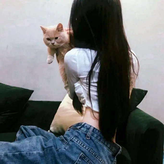 七鹰大厦宝藏